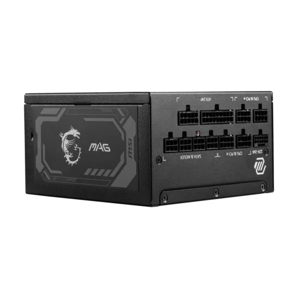 17-701-025-19.png MSI 1250 W Full Modular 80 PLUS GOLD Certified