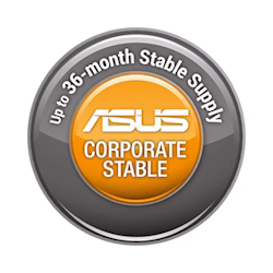ASUS Corporate Stable Model